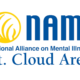 NAMI St. Cloud New Logo